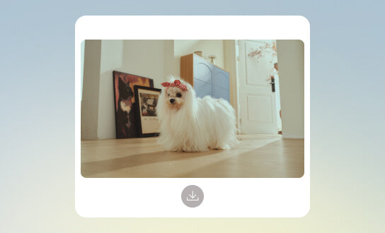 ถ่ายภาพสัตว์เลี้ยง